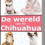 Wereld Van De Chihuahua